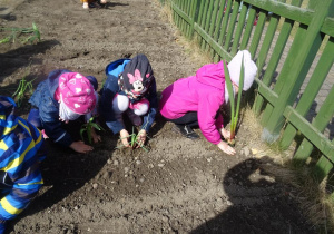 Dzieci sadzą rośliny.